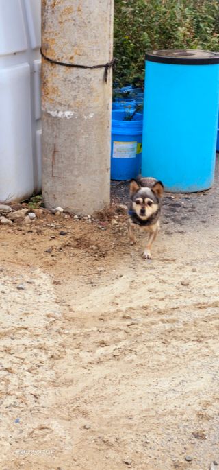 아홍팜님의 자유주제 · 자유게시판 작성글 사진