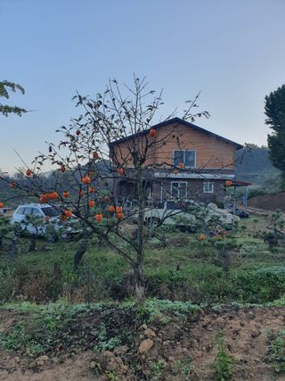 알 수 없음님의 자유주제 · 자유게시판 작성글 사진