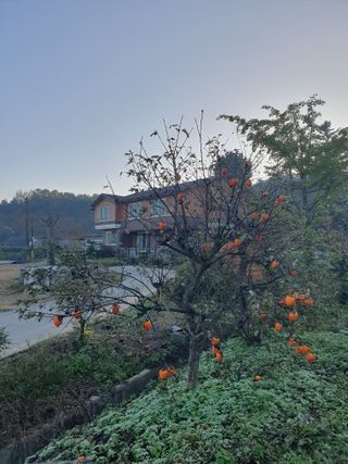 알 수 없음님의 자유주제 · 자유게시판 작성글 사진