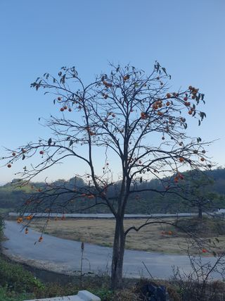 알 수 없음님의 자유주제 · 자유게시판 작성글 사진