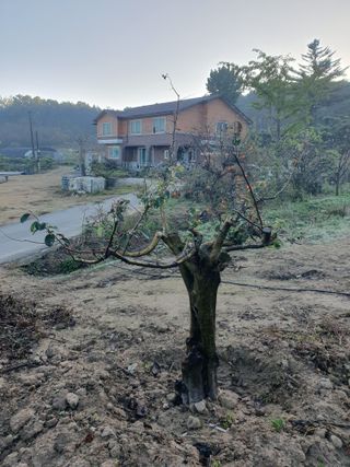 알 수 없음님의 자유주제 · 자유게시판 작성글 사진