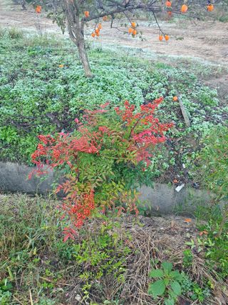 알 수 없음님의 자유주제 · 자유게시판 작성글 사진