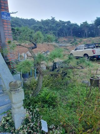 알 수 없음님의 자유주제 · 자유게시판 작성글 사진