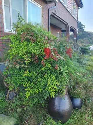 알 수 없음님의 자유주제 · 자유게시판 작성글 사진