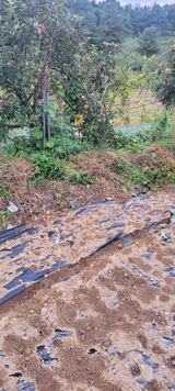 팜모닝 자유주제·자유게시판 게시글 이미지