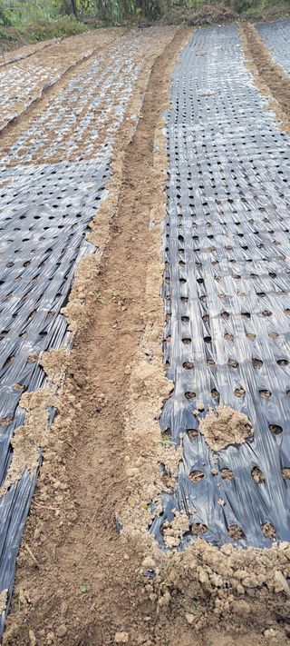 박정희 님의 자유주제 · 자유게시판 작성글 사진