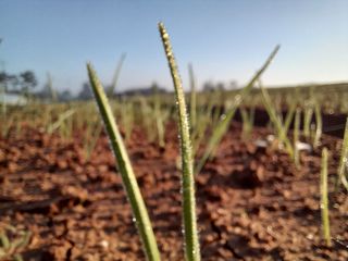 박린님의 자유주제 · 자유게시판 작성글 사진
