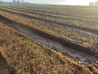 박린님의 자유주제 · 자유게시판 작성글 사진