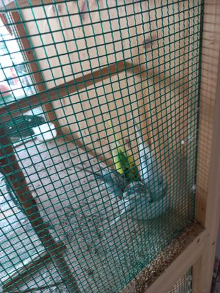 박린님의 자유주제 · 자유게시판 작성글 사진