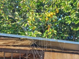 박린님의 자유주제 · 자유게시판 작성글 사진