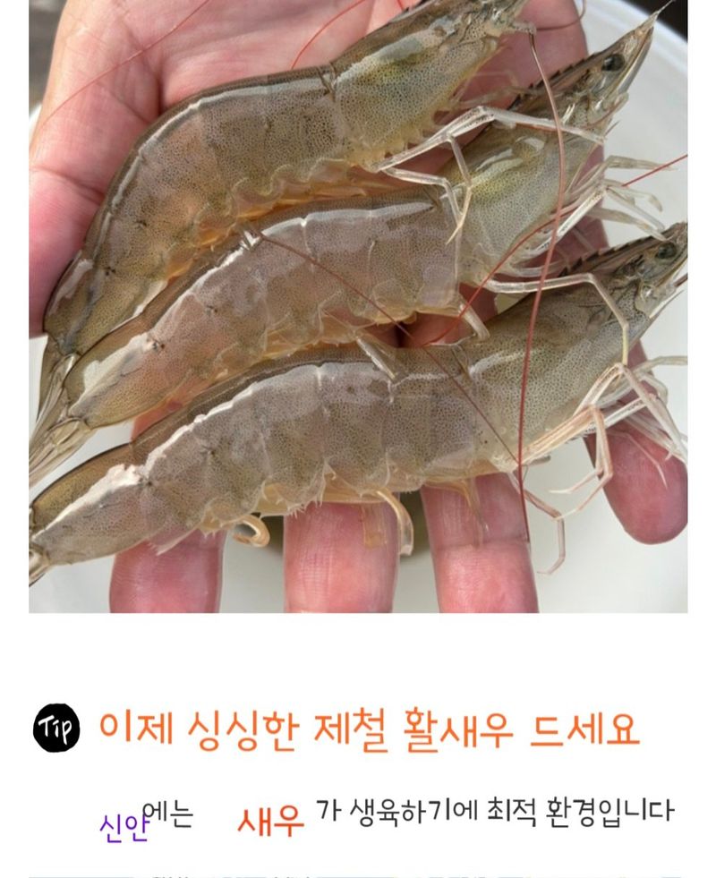 농수사님의 장터 판매 상품 [국내산 신안 노지 새우 1kg(내년 가을에 또 뵐께요)] 첨부 사진