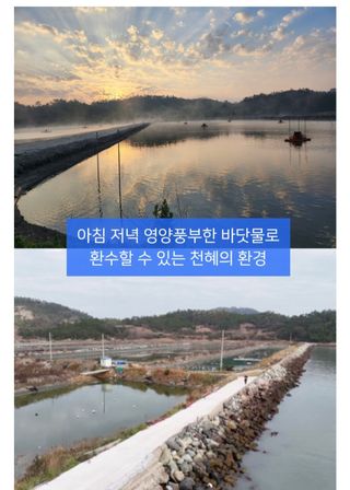 농수사님의 작성글 사진