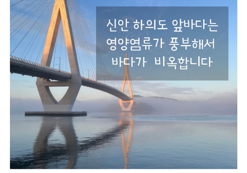 농수사님의 장터 판매 상품 [국내산 신안 노지 새우 1kg(내년 가을에 또 뵐께요)] 첨부 사진