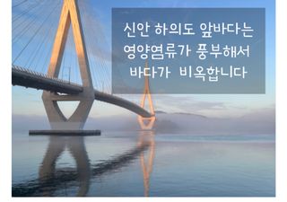 농수사님의 작성글 사진