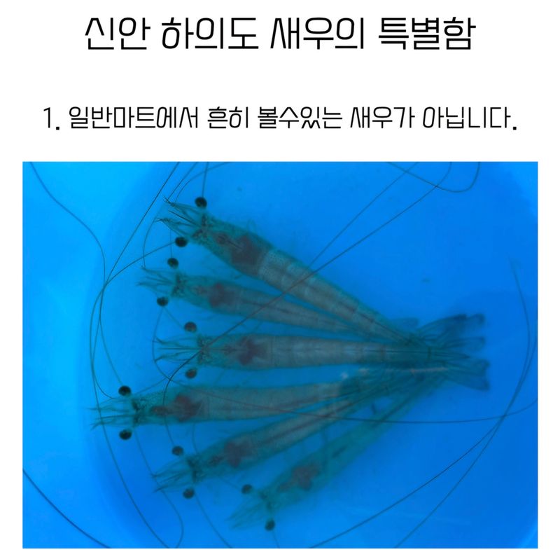 농수사님의 장터 판매 상품 [국내산 신안 노지 새우 1kg(내년 가을에 또 뵐께요)] 첨부 사진