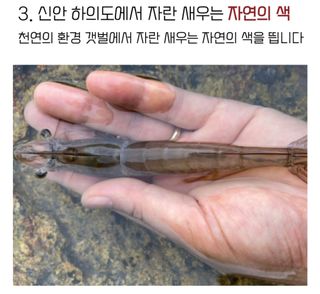 농수사님의 작성글 사진