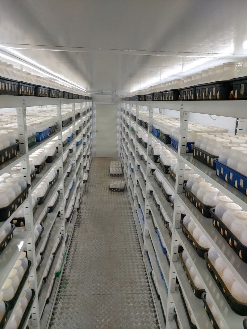 맥문동 천문동님의 장터 판매 상품 [12평 스마트팜 1억짜리 4 동] 첨부 사진