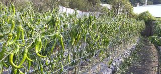 김영문님의 작성글 사진