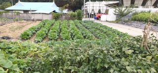 김영문님의 작성글 사진