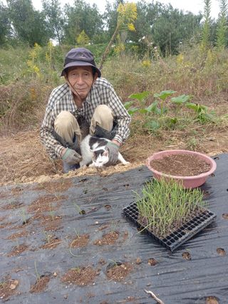 파키드&움메님의 자유주제 · 자유게시판 작성글 사진