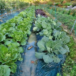 훈&팜님의 자유주제 · 자유게시판 작성글 사진