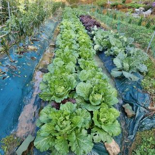 훈&팜님의 자유주제 · 자유게시판 작성글 사진