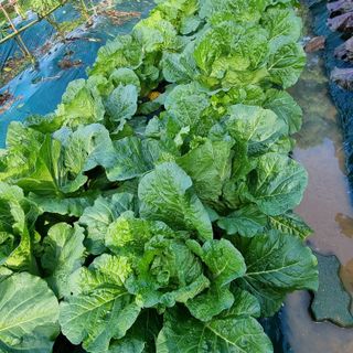 훈&팜님의 자유주제 · 자유게시판 작성글 사진