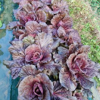 훈&팜님의 자유주제 · 자유게시판 작성글 사진