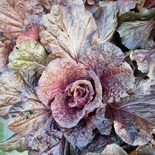 훈&팜님의 자유주제 · 자유게시판 작성글 사진