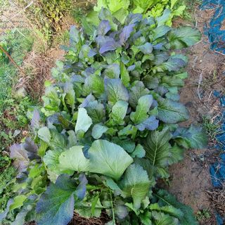 훈&팜님의 자유주제 · 자유게시판 작성글 사진