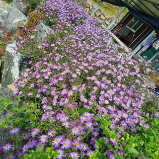 훈&팜님의 자유주제 · 자유게시판 작성글 사진