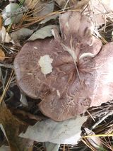 팜모닝 자유주제·자유게시판 게시글 이미지