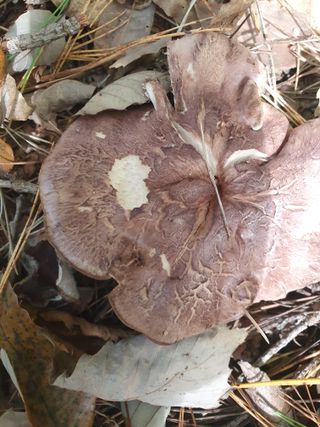 김철원,바람산인님의 자유주제 · 자유게시판 작성글 사진