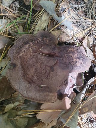 김철원,바람산인님의 자유주제 · 자유게시판 작성글 사진