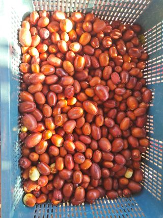 조명희님의 자유주제 · 자유게시판 작성글 사진