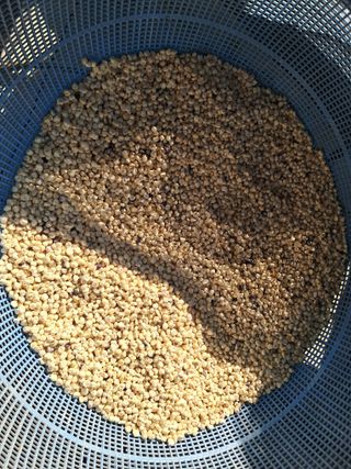 조명희님의 자유주제 · 자유게시판 작성글 사진