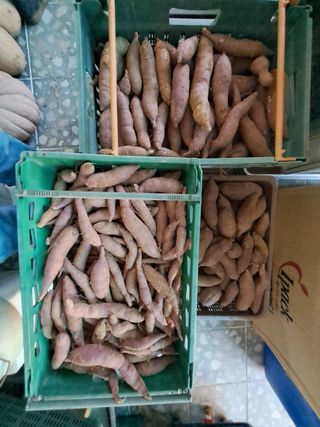 조명희님의 자유주제 · 자유게시판 작성글 사진