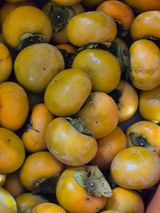 팜모닝 자유주제·자유게시판 게시글 이미지