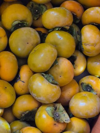 예은이놀이터님의 자유주제 · 자유게시판 작성글 사진