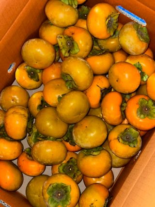 예은이놀이터님의 자유주제 · 자유게시판 작성글 사진