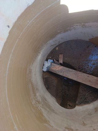 오영도님의 자유주제 · 자유게시판 작성글 사진