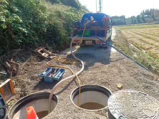 오영도님의 자유주제 · 자유게시판 작성글 사진