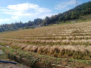 오영도님의 자유주제 · 자유게시판 작성글 사진