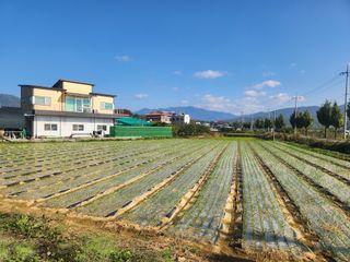 댕이골표영환님의 자유주제 · 자유게시판 작성글 사진