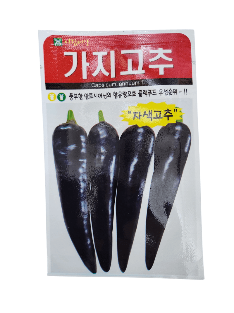 장터 상품 [가지고추씨앗 10립 25년] 썸네일