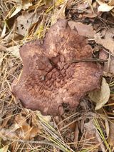 팜모닝 자유주제·자유게시판 게시글 이미지