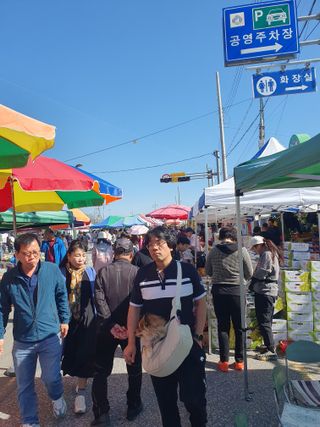 작은소나무님의 자유주제 · 자유게시판 작성글 사진