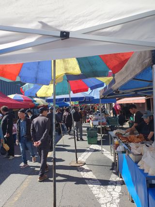 작은소나무님의 자유주제 · 자유게시판 작성글 사진