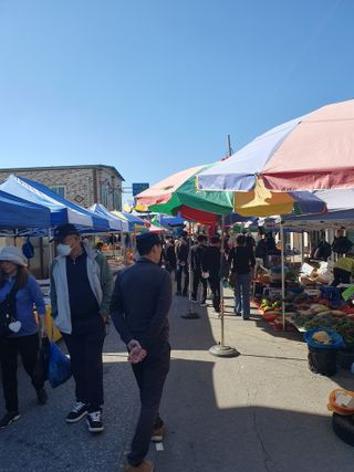 작은소나무님의 자유주제 · 자유게시판 작성글 사진