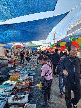 작은소나무님의 자유주제 · 자유게시판 작성글 사진
